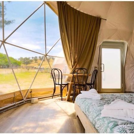 Caravans Park & Glamping Tents In The Vineyard Villa Turda Exterior photo