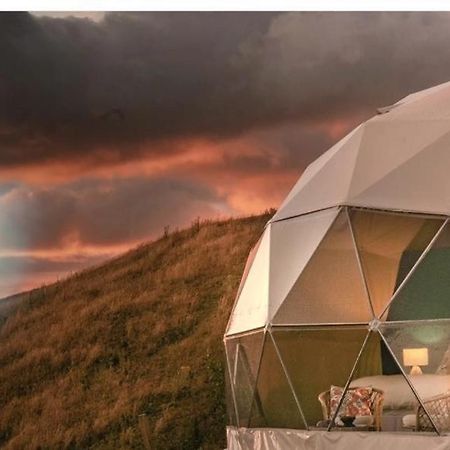 Caravans Park & Glamping Tents In The Vineyard Villa Turda Exterior photo