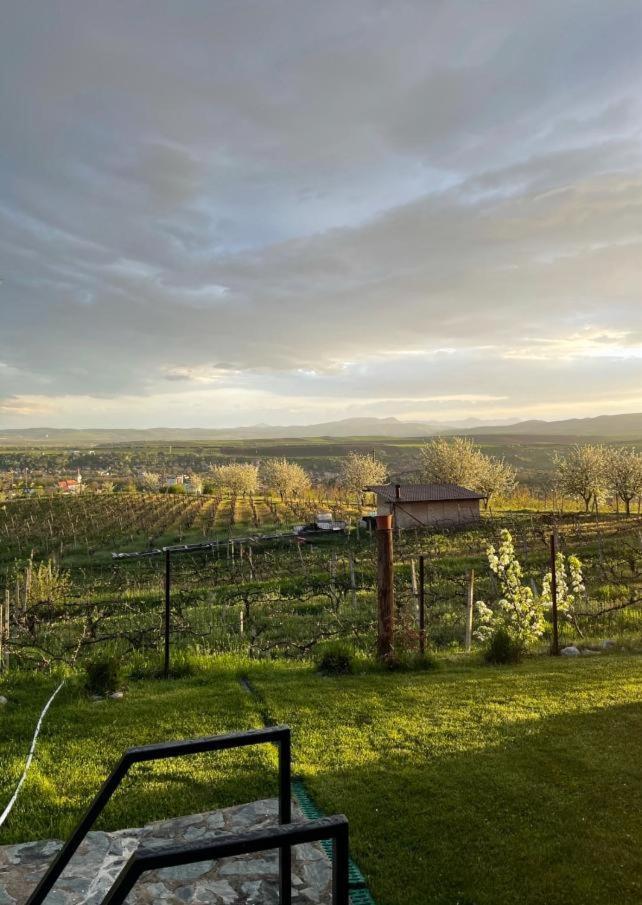 Caravans Park & Glamping Tents In The Vineyard Villa Turda Exterior photo